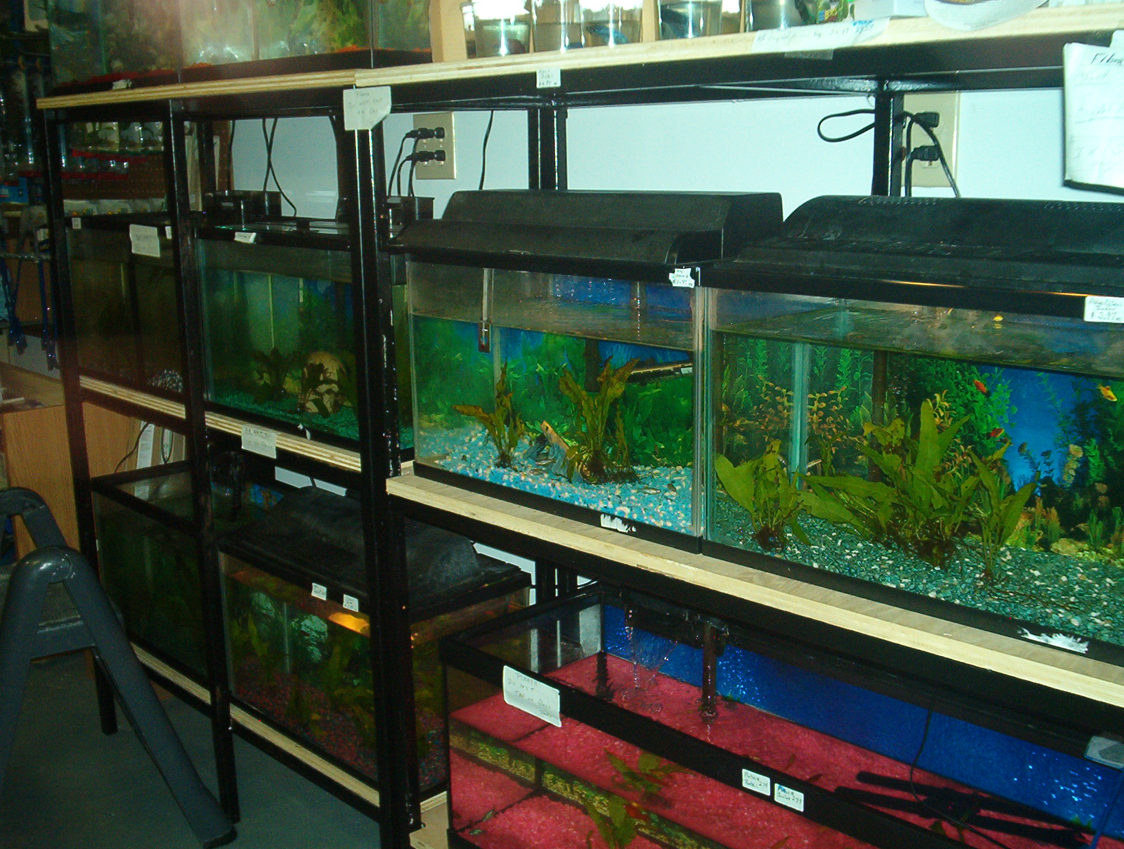 Aquarium Supplies - Click to Enter